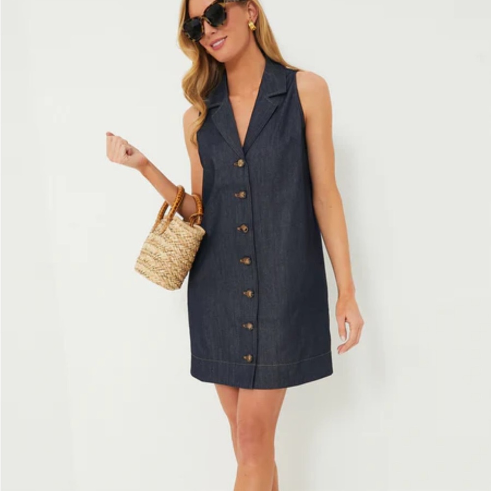 Tuckernuck Jean Mini Dress